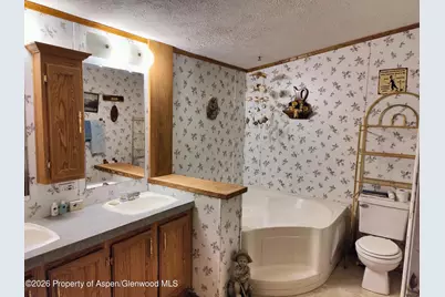 5387 County Rd 154 Trailer # 4, Glenwood Springs, CO 81601 - Photo 8
