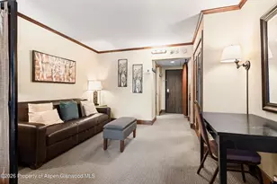 38750 Hwy 82, Aspen, CO 81611 - Photo 4