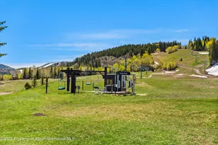 38750 Hwy 82, Aspen, CO 81611 - Photo 24