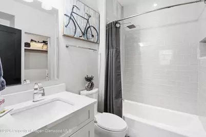 481 Boundary Lane, Carbondale, CO 81623 - Photo 38