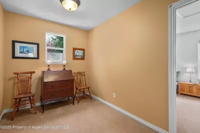 54 Ferguson Drive, Carbondale, CO 81623 - Photo 28