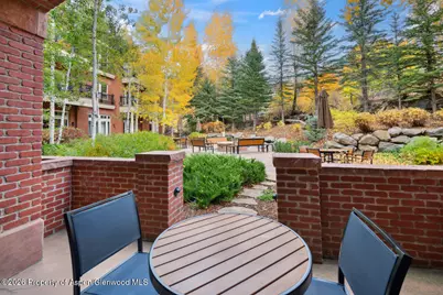 415 E Dean St, Unit 5, Weeks 9 & 10, Aspen, CO 81611 - Photo 24