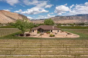 759 36 3/10 Rd, Palisade, CO 81526 - Photo 8