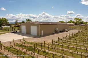 759 36 3/10 Rd, Palisade, CO 81526 - Photo 2