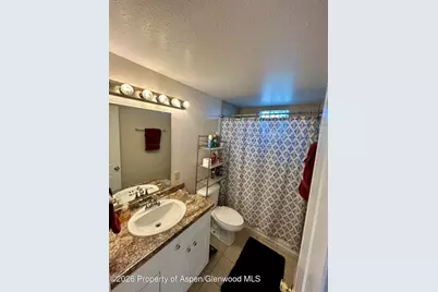 730 Green Street, Craig, CO 81625 - Photo 28