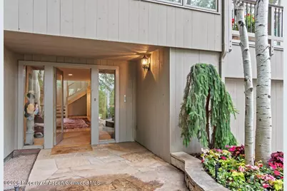 209 Larkspur Lane, Aspen, CO 81611 - Photo 2