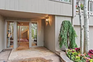 209 Larkspur Ln, Aspen, CO 81611 - Photo 2
