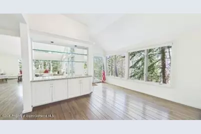 209 Larkspur Lane, Aspen, CO 81611 - Photo 6