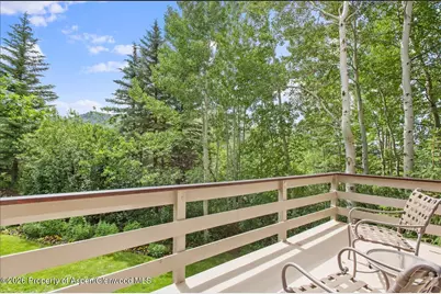 209 Larkspur Lane, Aspen, CO 81611 - Photo 8