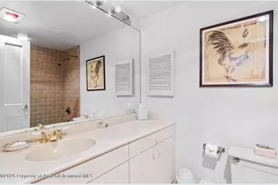 209 Larkspur Lane, Aspen, CO 81611 - Photo 16