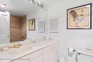 209 Larkspur Ln, Aspen, CO 81611 - Photo 16