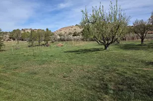 3465 Co Rd 214, Silt, CO 81652 - Photo 2