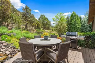 268 Larkspur Dr, Carbondale, CO 81623 - Photo 10
