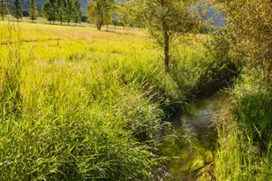 2147 Lower River Rd, Snowmass, CO 81654 - Photo 44