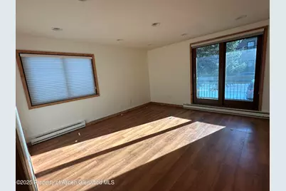 210 E Hyman Avenue #201 & 202, Aspen, CO 81611 - Photo 10