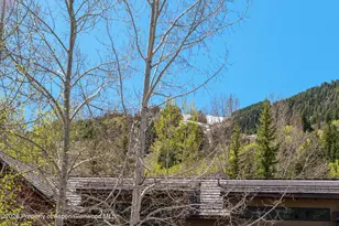 121 W Hyman Ave, Aspen, CO 81611 - Photo 4