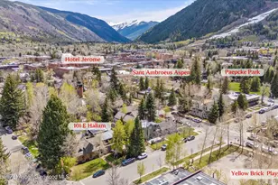 101 E Hallam St, Aspen, CO 81611 - Photo 60