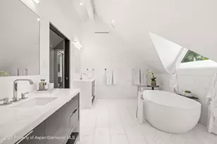 101 E Hallam St, Aspen, CO 81611 - Photo 22