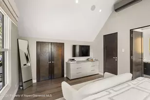 101 E Hallam St, Aspen, CO 81611 - Photo 28