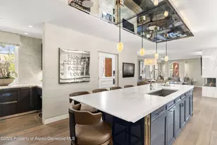 101 E Hallam St, Aspen, CO 81611 - Photo 10