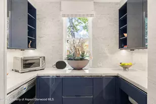 101 E Hallam St, Aspen, CO 81611 - Photo 12