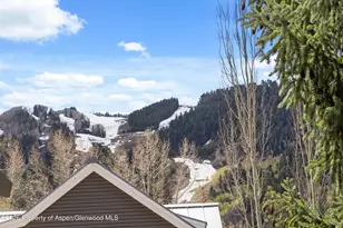 101 E Hallam St, Aspen, CO 81611 - Photo 20