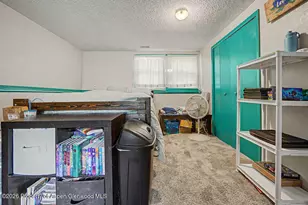 803 Exmoor Cir, Craig, CO 81625 - Photo 44