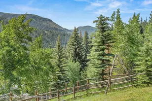 357 Elk Mountain Dr, Redstone, CO 81623 - Photo 40