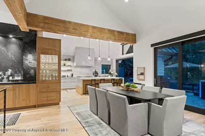 709 W Hallam Street, Aspen, CO 81611 - Photo 10