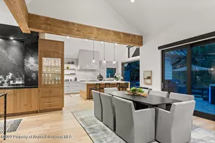 709 W Hallam St, Aspen, CO 81611 - Photo 10