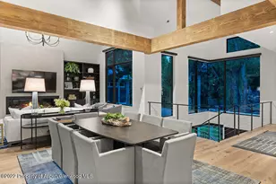 709 W Hallam St, Aspen, CO 81611 - Photo 4