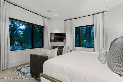 709 W Hallam Street, Aspen, CO 81611 - Photo 24