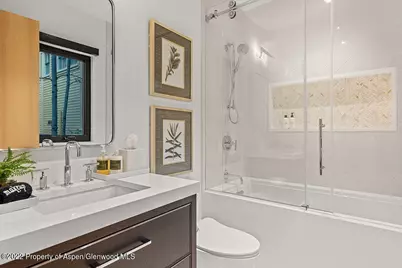 709 W Hallam Street, Aspen, CO 81611 - Photo 22