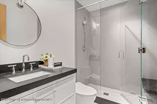 709 W Hallam St, Aspen, CO 81611 - Photo 20