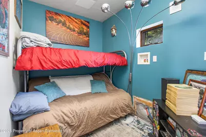 927 Main Street, Carbondale, CO 81623 - Photo 14