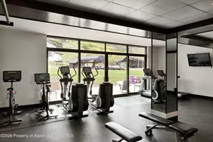 38750 Hwy 82, Aspen, CO 81611 - Photo 14