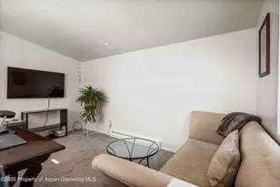 1150 Co Rd 119, Glenwood Springs, CO 81601 - Photo 16
