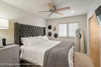 322 Park Avenue, Aspen, CO 81611 - Photo 32