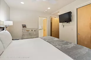 322 Park Ave, Aspen, CO 81611 - Photo 22