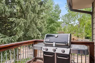 322 Park Ave, Aspen, CO 81611 - Photo 12