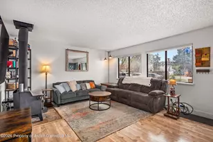 873 Colorado Ave, Carbondale, CO 81623 - Photo 6