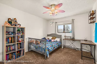 873 Colorado Avenue, Carbondale, CO 81623 - Photo 16