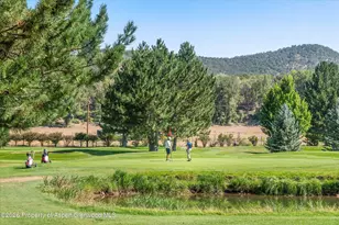 245 Stagecoach Dr, Carbondale, CO 81623 - Photo 34