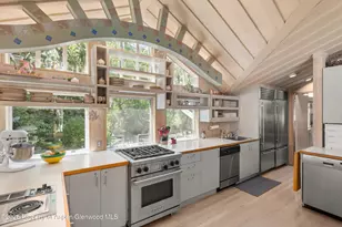 99 Shady Ln, Aspen, CO 81611 - Photo 10