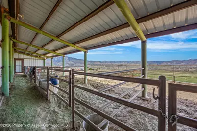 8877 County Road 320, Rifle, CO 81650 - Photo 22