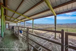 8877 Co Rd 320, Rifle, CO 81650 - Photo 22