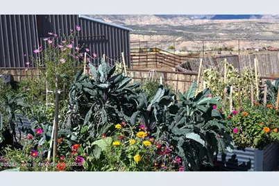 8877 County Road 320, Rifle, CO 81650 - Photo 16