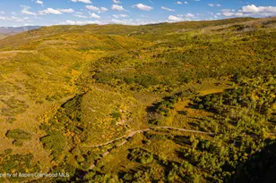 1350 Old Herron Rd, Basalt, CO 81621 - Photo 64
