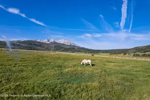 1350 Old Herron Rd, Basalt, CO 81621 - Photo 74