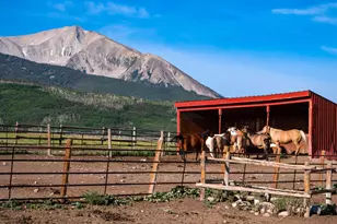 1350 Old Herron Rd, Basalt, CO 81621 - Photo 76